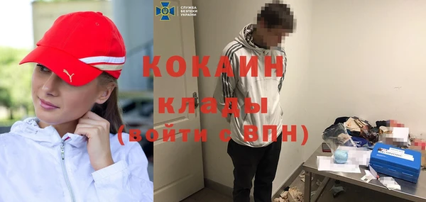 шишки Михайловка