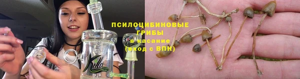 прущий лед Михайлов