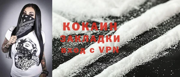 шишки Михайловка