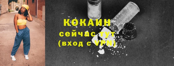 шишки Михайловка