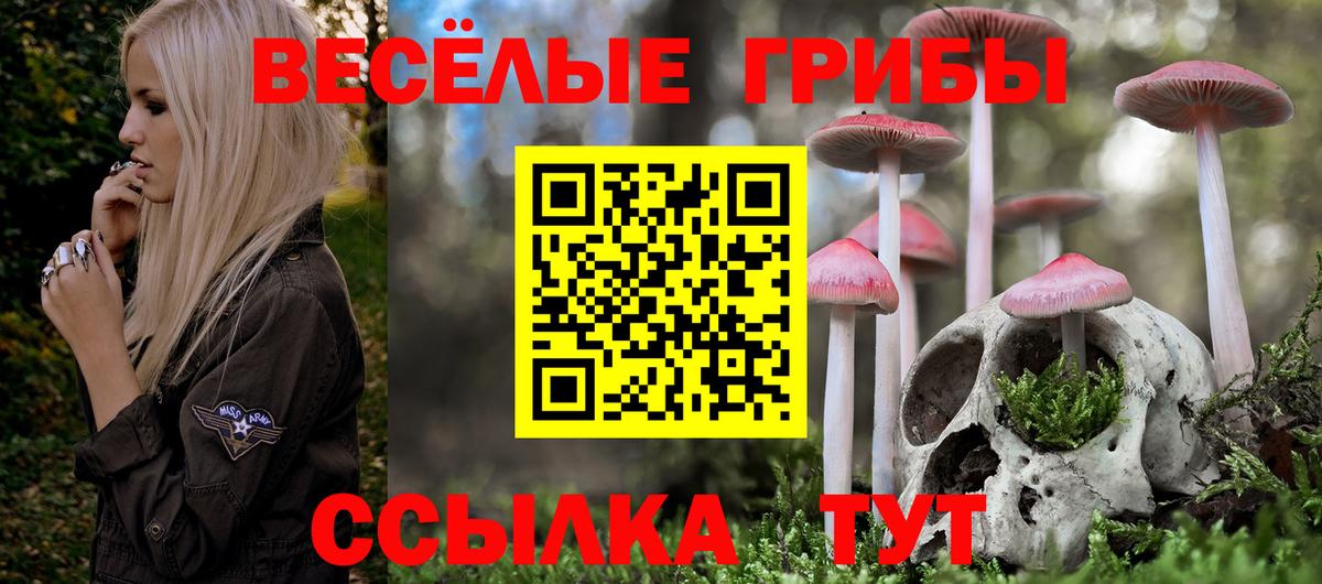 Галлюциногенные грибы MAGIC MUSHROOMS  Вход с VPN  Ноябрьск  Псилоцибиновые грибы Cubensis 