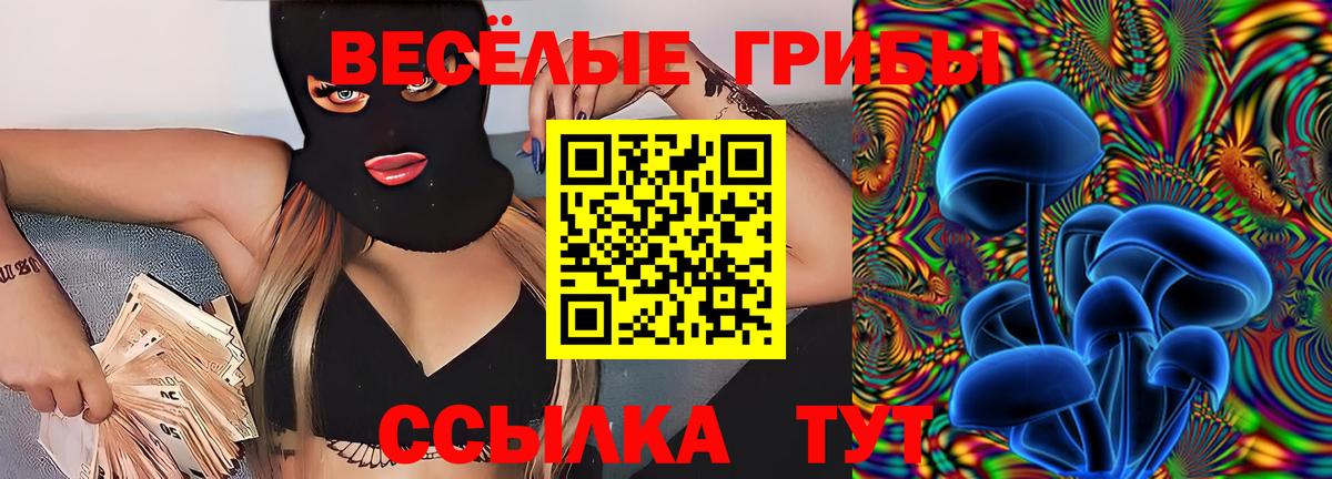Псилоцибиновые грибы Psilocybine cubensis Ноябрьск